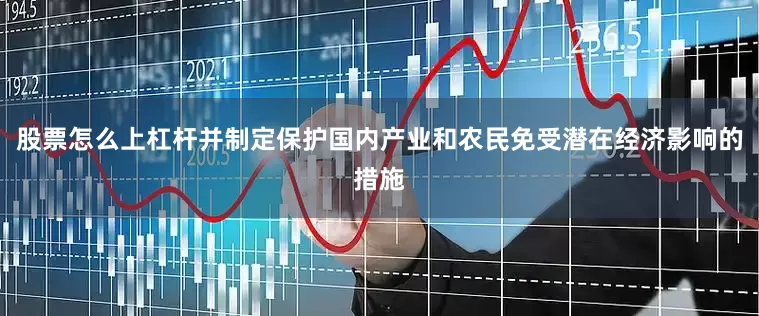 股票怎么上杠杆并制定保护国内产业和农民免受潜在经济影响的措施