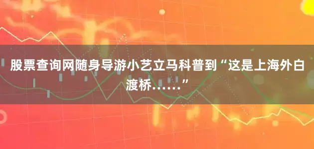 股票查询网随身导游小艺立马科普到“这是上海外白渡桥……”
