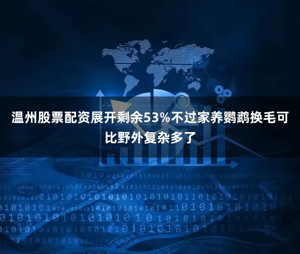 温州股票配资展开剩余53%不过家养鹦鹉换毛可比野外复杂多了