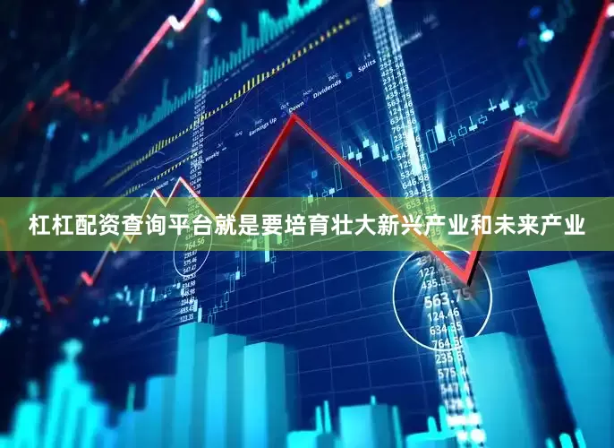 杠杠配资查询平台就是要培育壮大新兴产业和未来产业